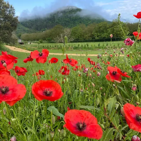 Esparoutis Nyaraló *