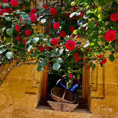 Esparoutis Nyaraló Saint-Cybranet