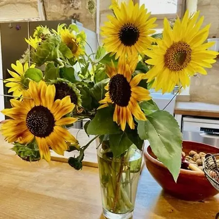 Nyaraló Esparoutis Saint-Cybranet