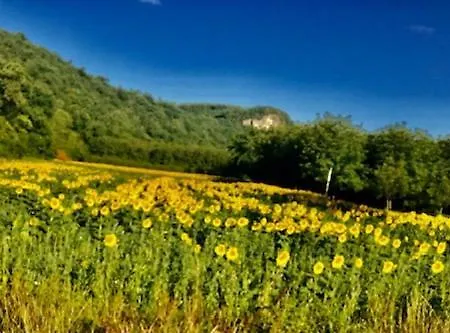 Esparoutis Nyaraló Saint-Cybranet