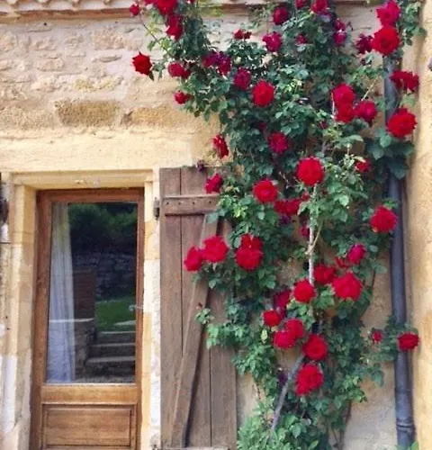 Esparoutis * Saint-Cybranet