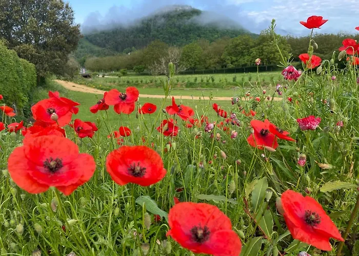 Esparoutis Feriehus *