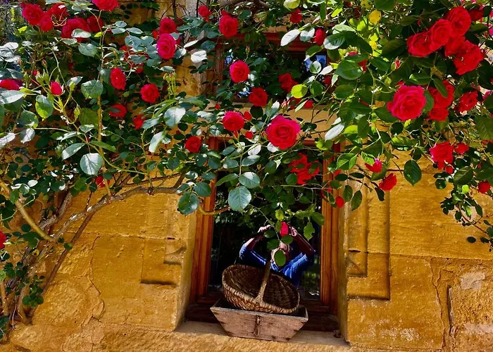 Esparoutis Feriehus Saint-Cybranet