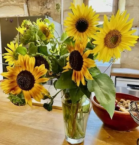 Feriehus Esparoutis Saint-Cybranet