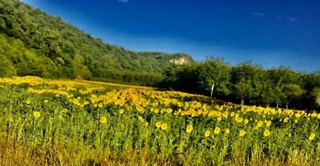 Esparoutis Feriehus Saint-Cybranet